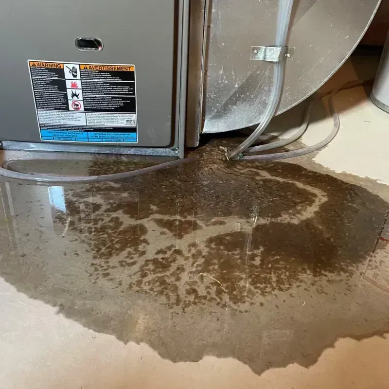 Appliance Leak Cleanup in Greene County, OH